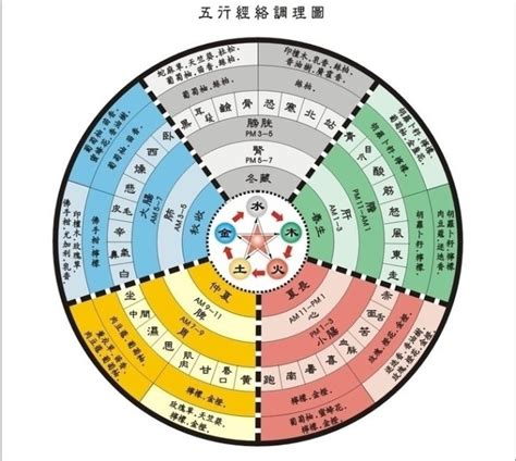 五術是什麼|道家五術:五術是傳統文化中極為重要的組成部分，是。